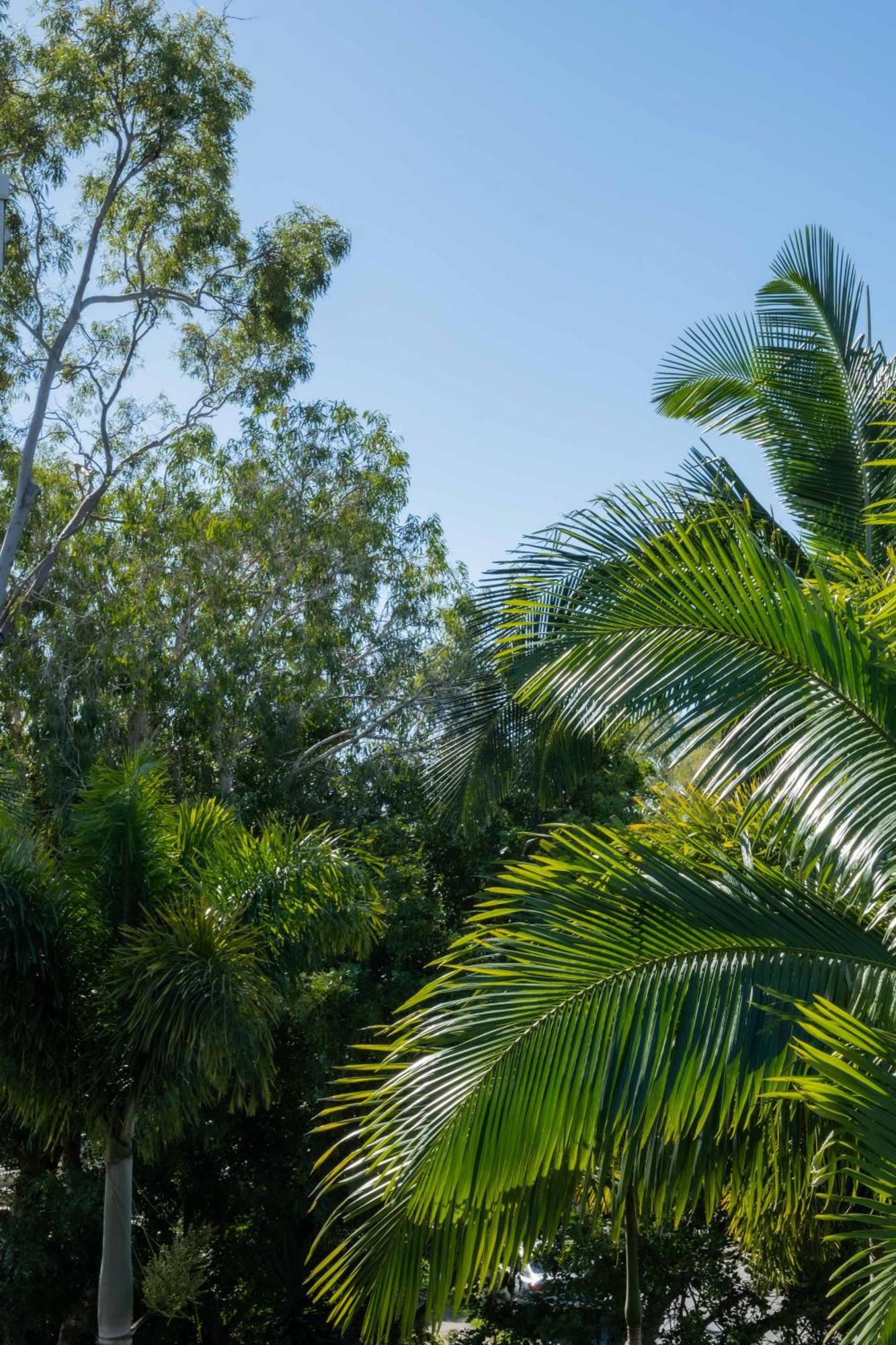 Twin Quays Noosa Aparthotel Noosaville Bagian luar foto